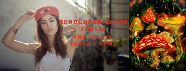 PSILOCYBIN Зеленокумск
