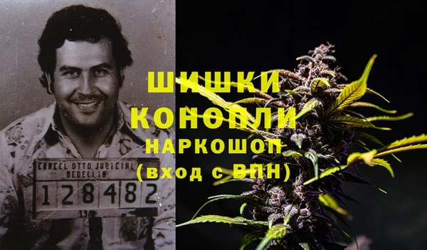 PSILOCYBIN Зеленокумск