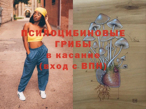 PSILOCYBIN Зеленокумск